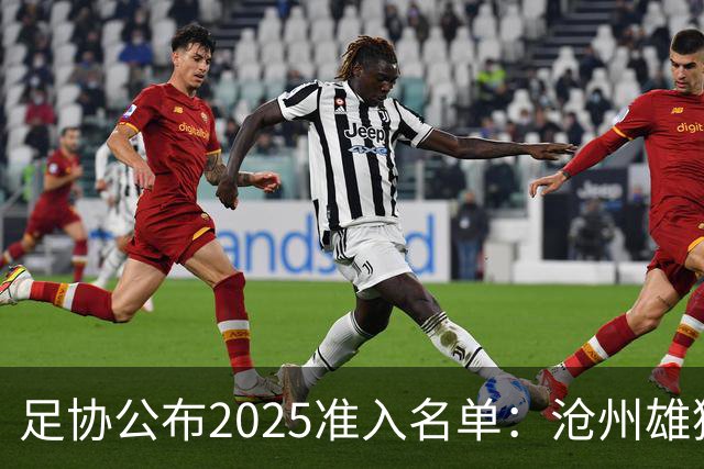 足协公布2025准入名单：沧州雄狮、广州队无缘